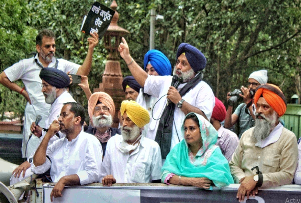 shiromani akali dal badal protested in delhi against three farm laws attacked on center and congress