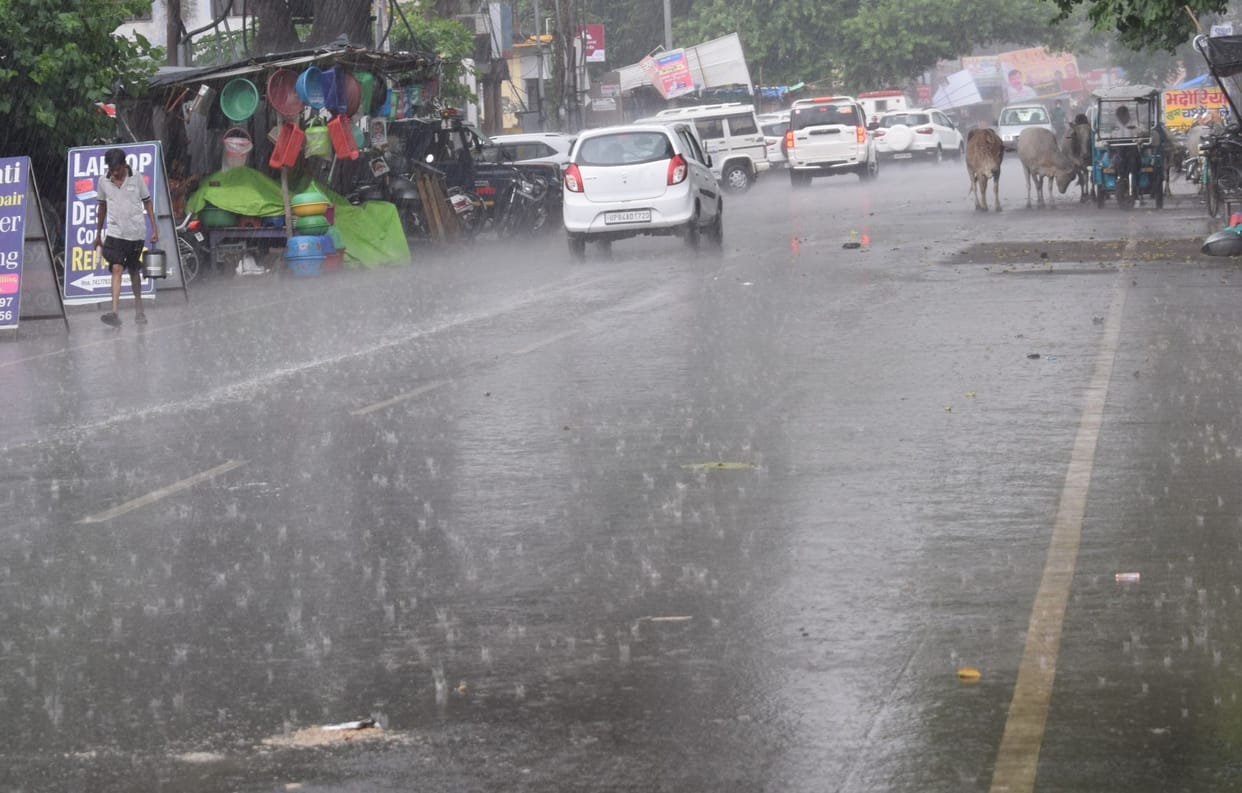 Rain accompanied by strong wind overnight, damage to crops