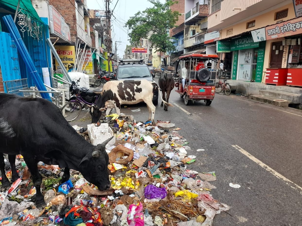 Due to incessant rains, the dirt in the city increased, cleanliness is not being done