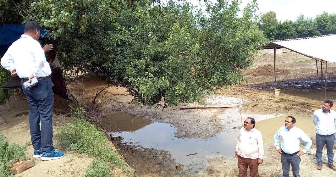 Three cows died in Ladaita's cowshed