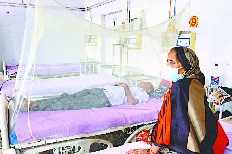 Dengue confirmed in two more patients, 31 found infected with malaria