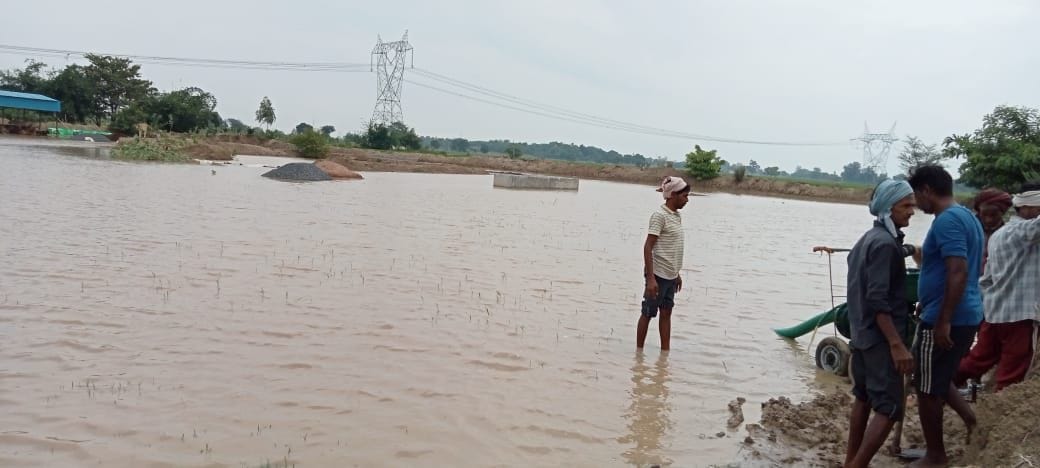 goshala water cleaned