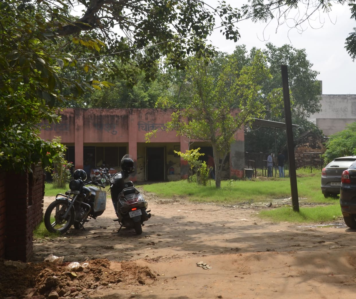 40 percent posts of veterinarians are vacant, not getting timely treatment