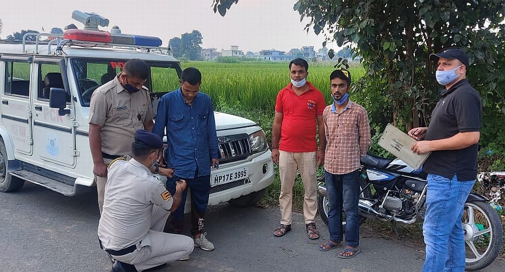 crime in sirmaur
