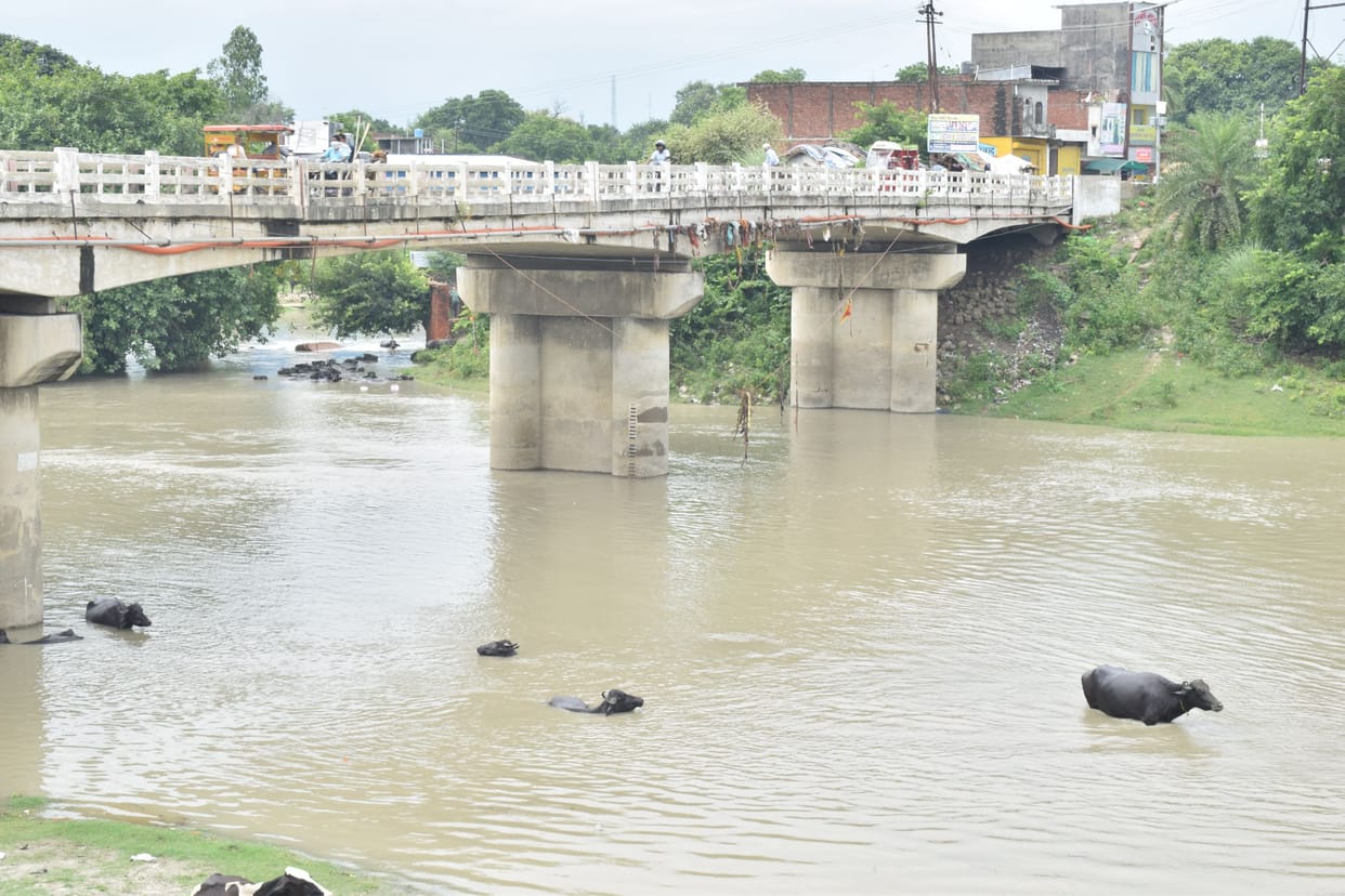 river flod