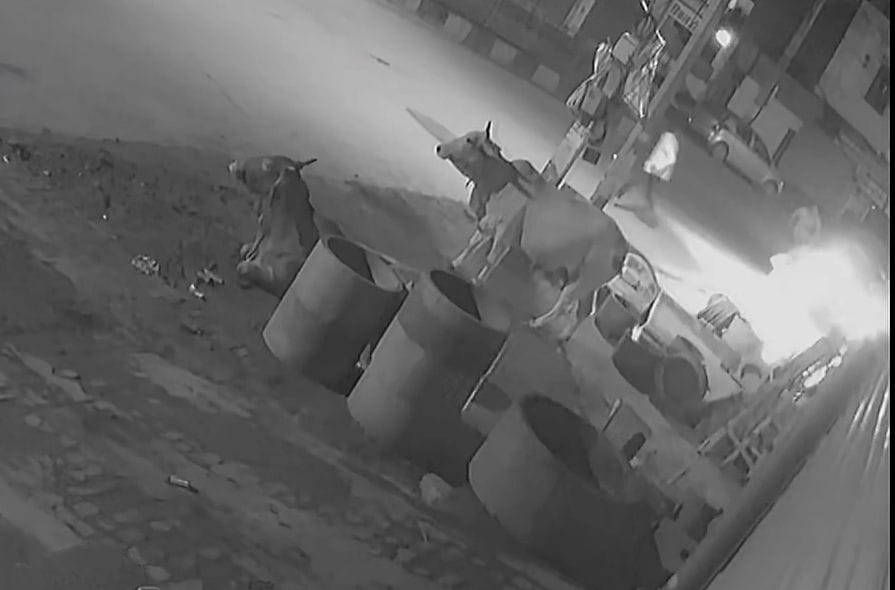 City council team attacked for cleaning and inspecting street lights, escaped and saved lives
