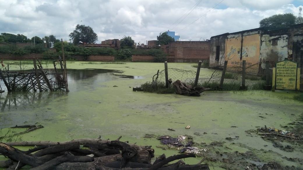 village,former,water,cow,crops