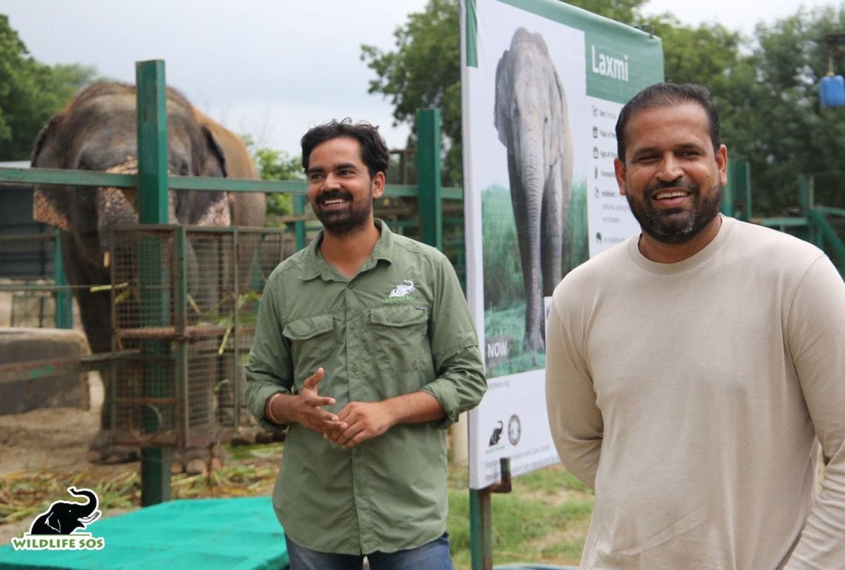 Indian cricketer Yusuf Pathan visited the Elephant Conservation Center in Mathura