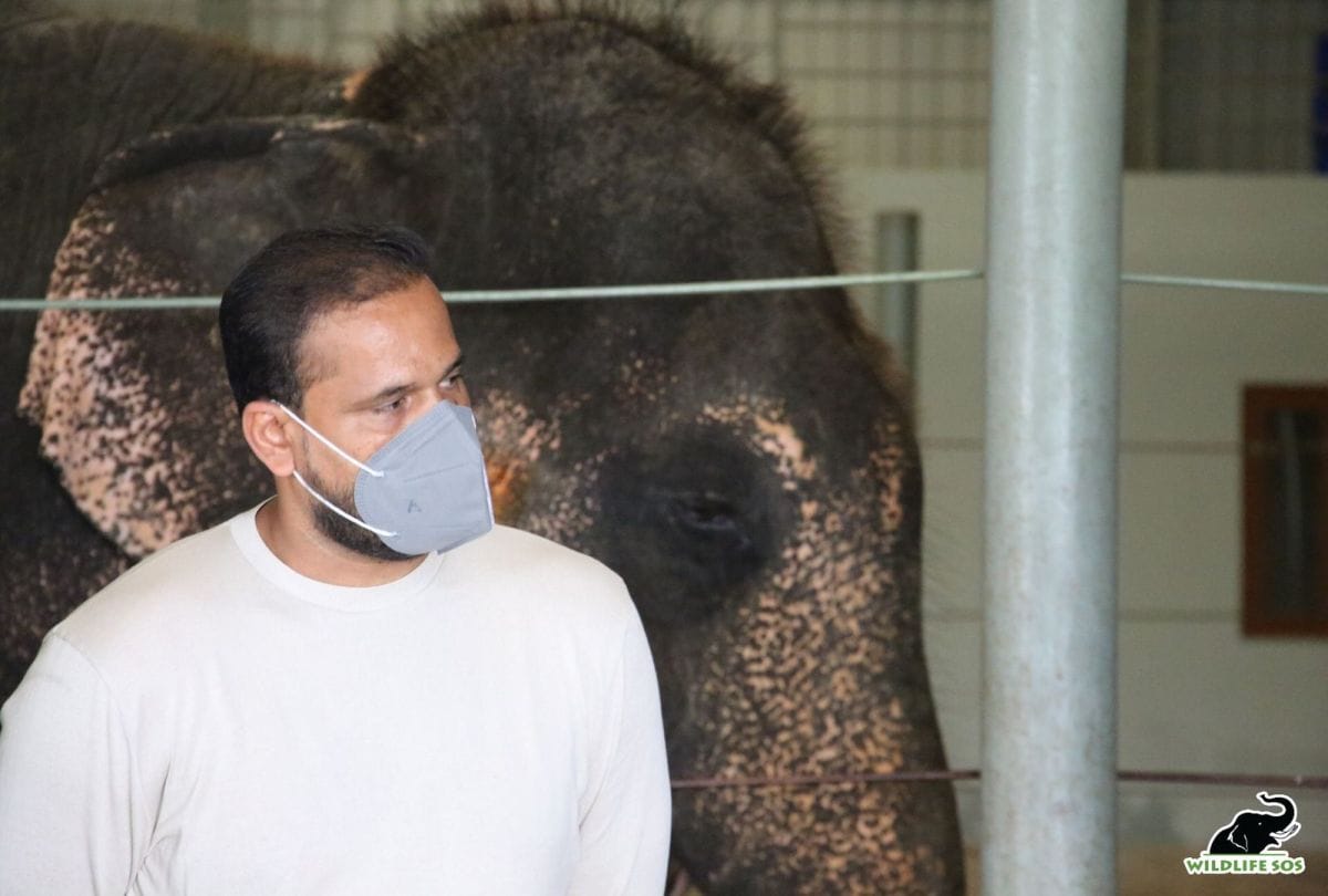 Indian cricketer Yusuf Pathan visited the Elephant Conservation Center in Mathura