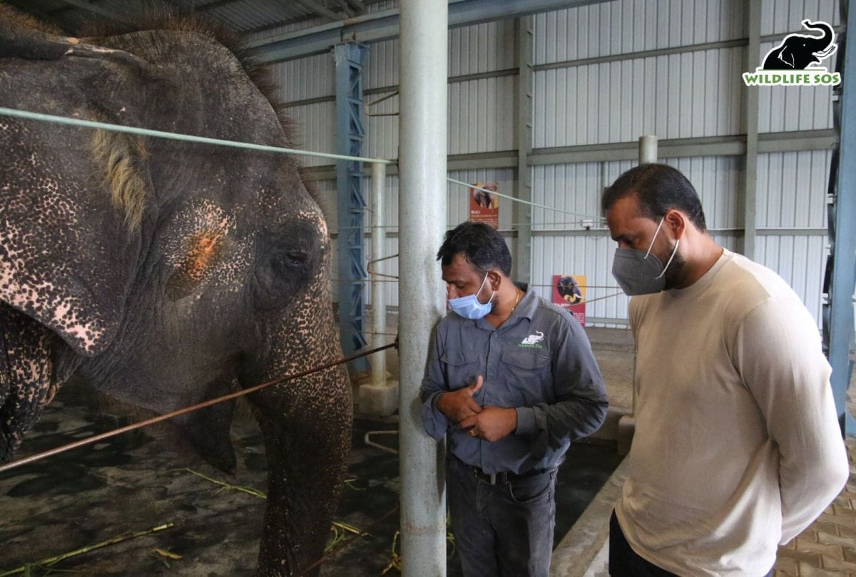 Indian cricketer Yusuf Pathan visited the Elephant Conservation Center in Mathura