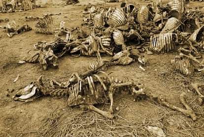 Interesting story of mysterious Deadman island of Kent United Kingdom where corpses are everywhere