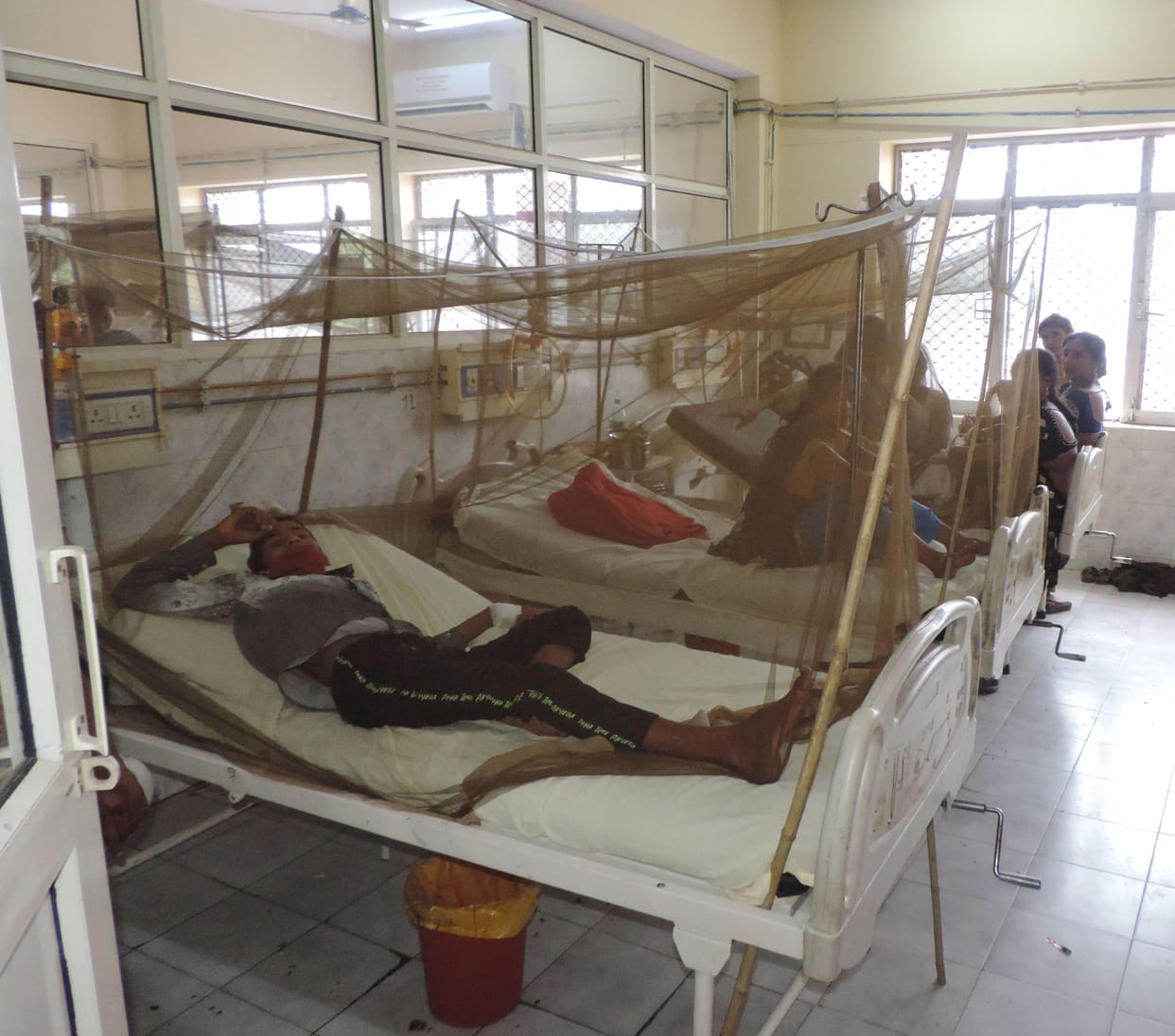 Dengue did not stop, 22 positive in ELISA test