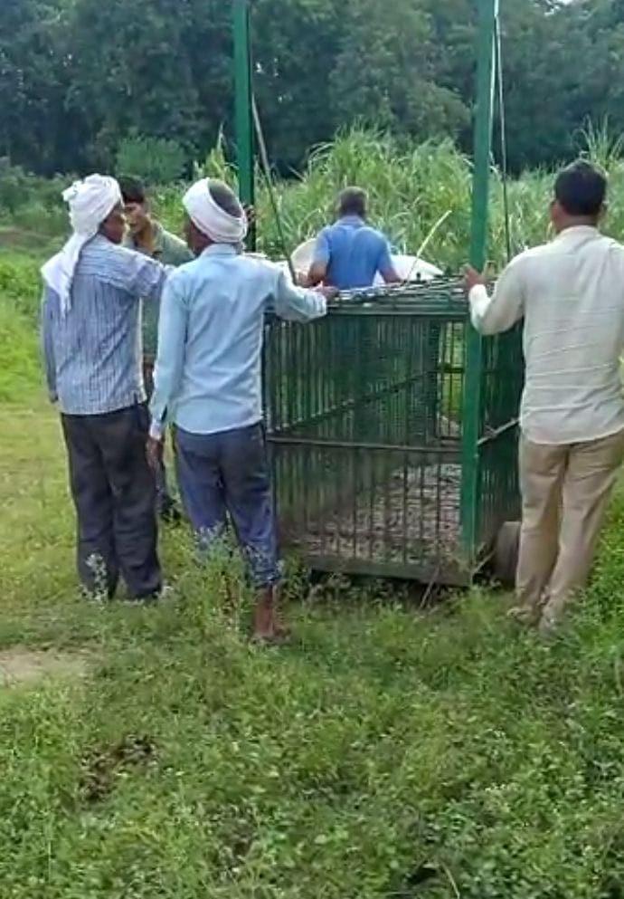 Search ends after 18 days, cage removed