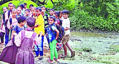 children.. come to school and take dengue home