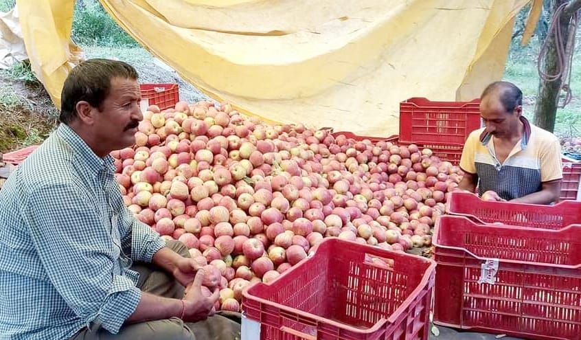 Traders absconded without paying dozens of arhtiyas
