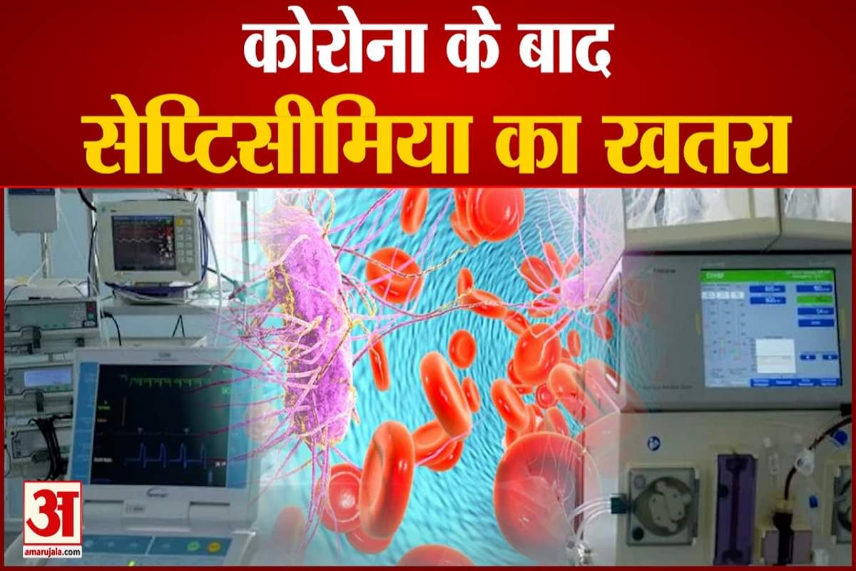 सेप्टिसीमिया