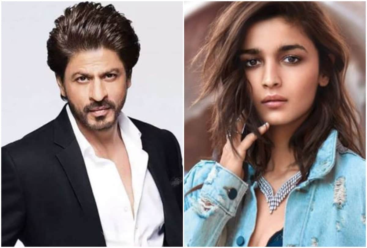 shahrukh khan upcoming film story got leaked and alia bhatt hot look viral read top 10 entertainment news