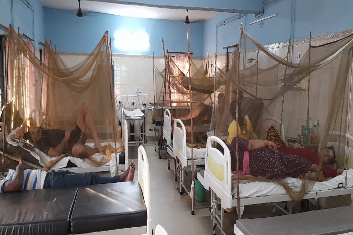 Jhansi Dengue Viral Fever News Girl dies of dengue 12 new patients found