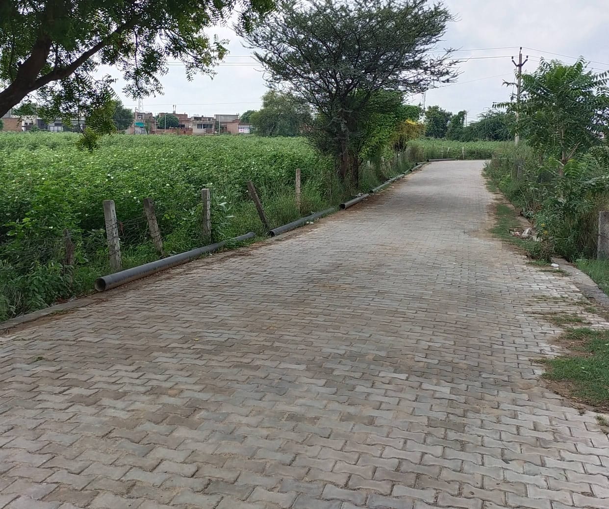 Public Health Department does not have the material to join the joint, the project stalled