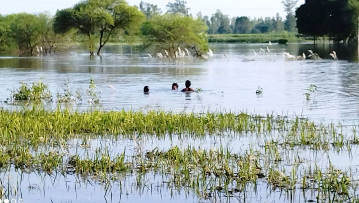 Rescue till late night in search of four including two brothers