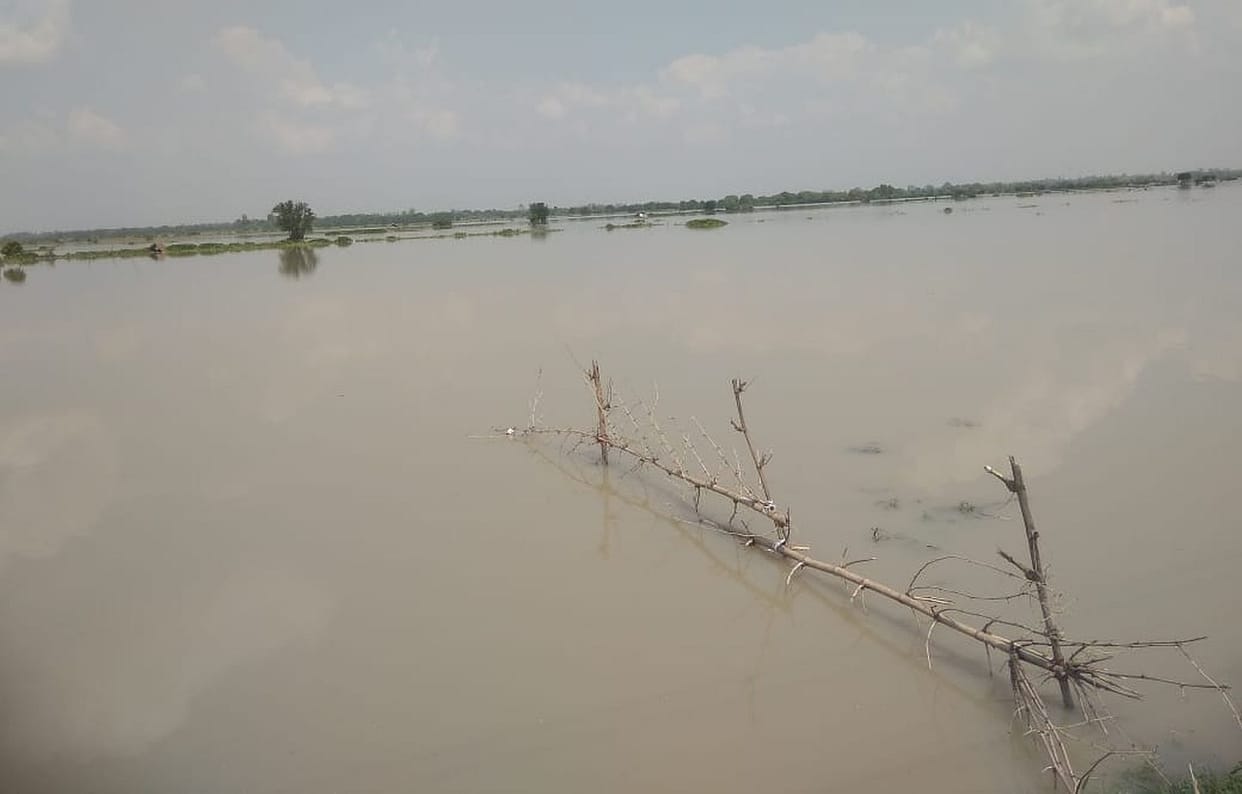 flood