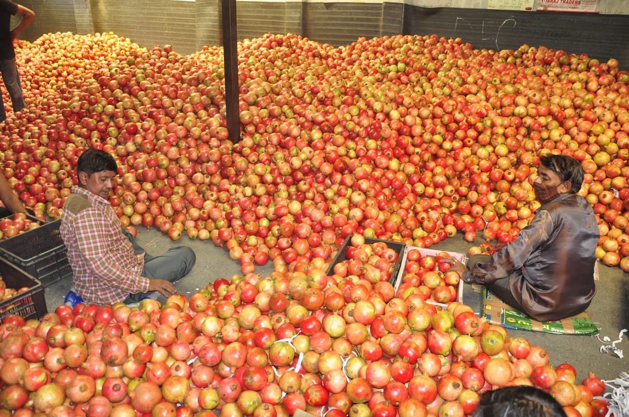 Most apples came in Bandrol vegetable market, More than 19 lakh boxes of apples reached various fruit markets of the district, Bandarol at number two, 20 kg crate selling up to Rs 1400