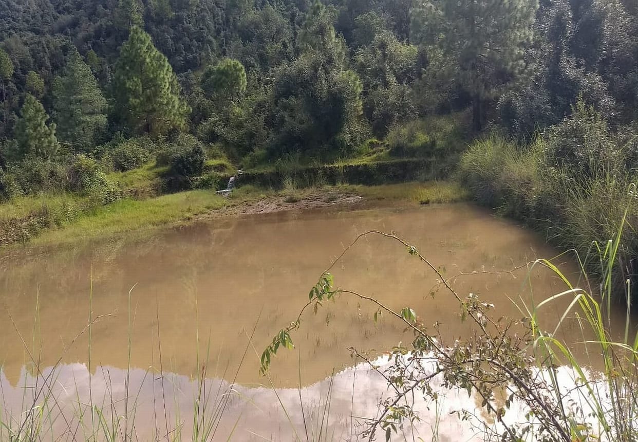 uttarakhand news: pond built three hundred years ago to store water became a gift for mountain villagers
