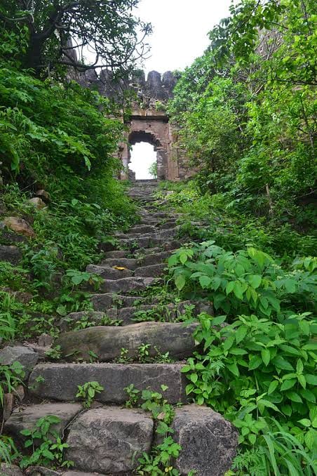 Tourism will get a boost in Sonbhadra: Vijaygarh Fort will become the center of Chandrakanta circuit, forest department is preparing to develop facilities