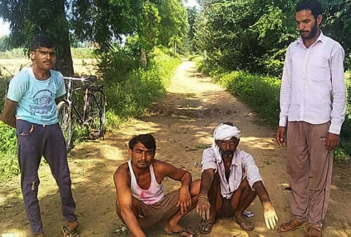 Etawah: death of national bird peacock due to electrocution in Jaswantnagar