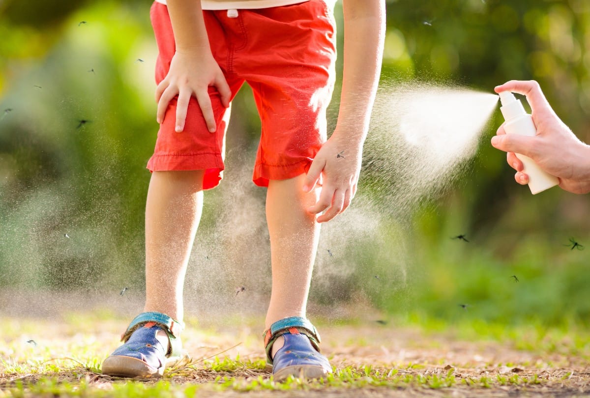 Dengue Preventive Tips Make 5 homemade mosquito repellent Spray