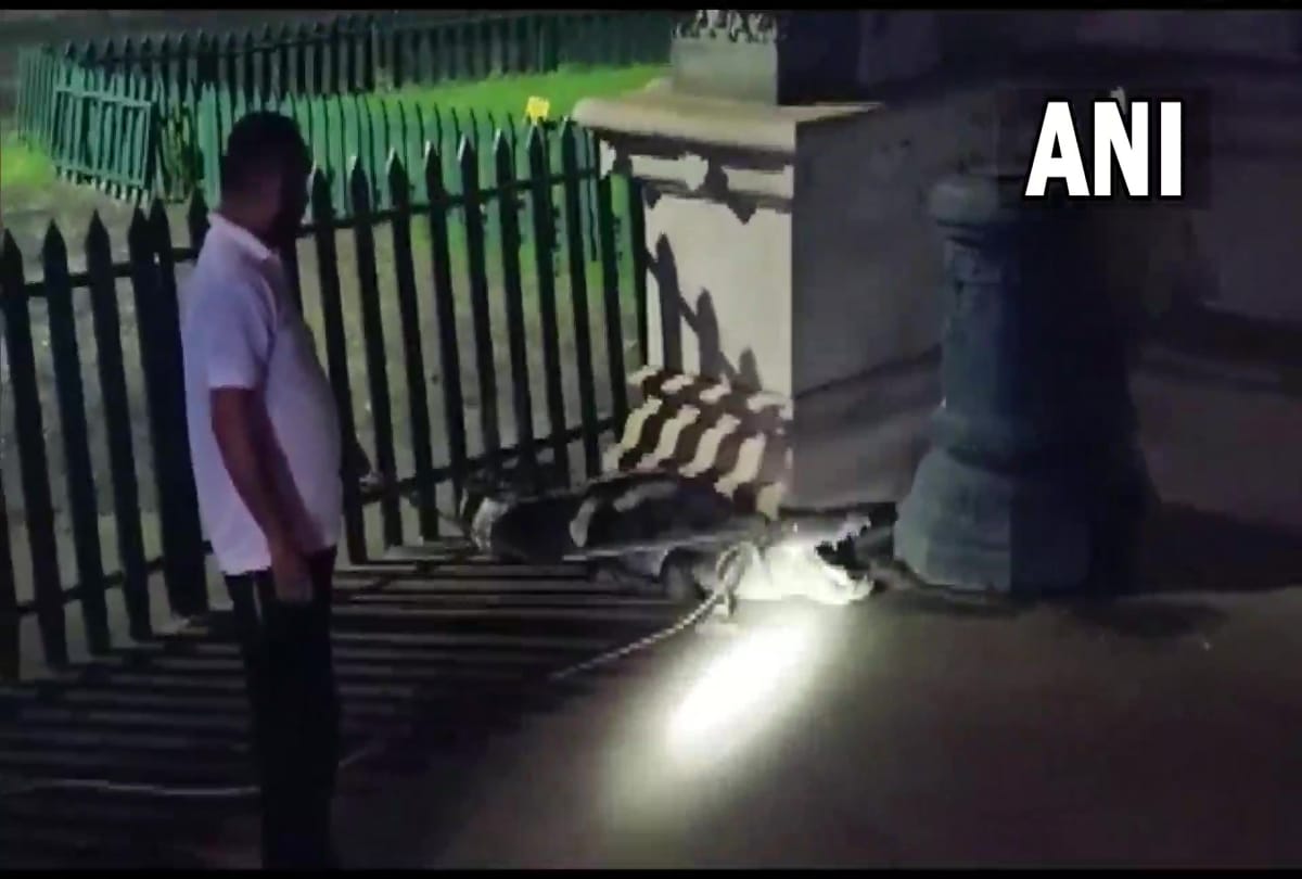 Vadodara: An 8-ft long crocodile was rescued from Laxmi Vilas Palace premises by the Forest Department