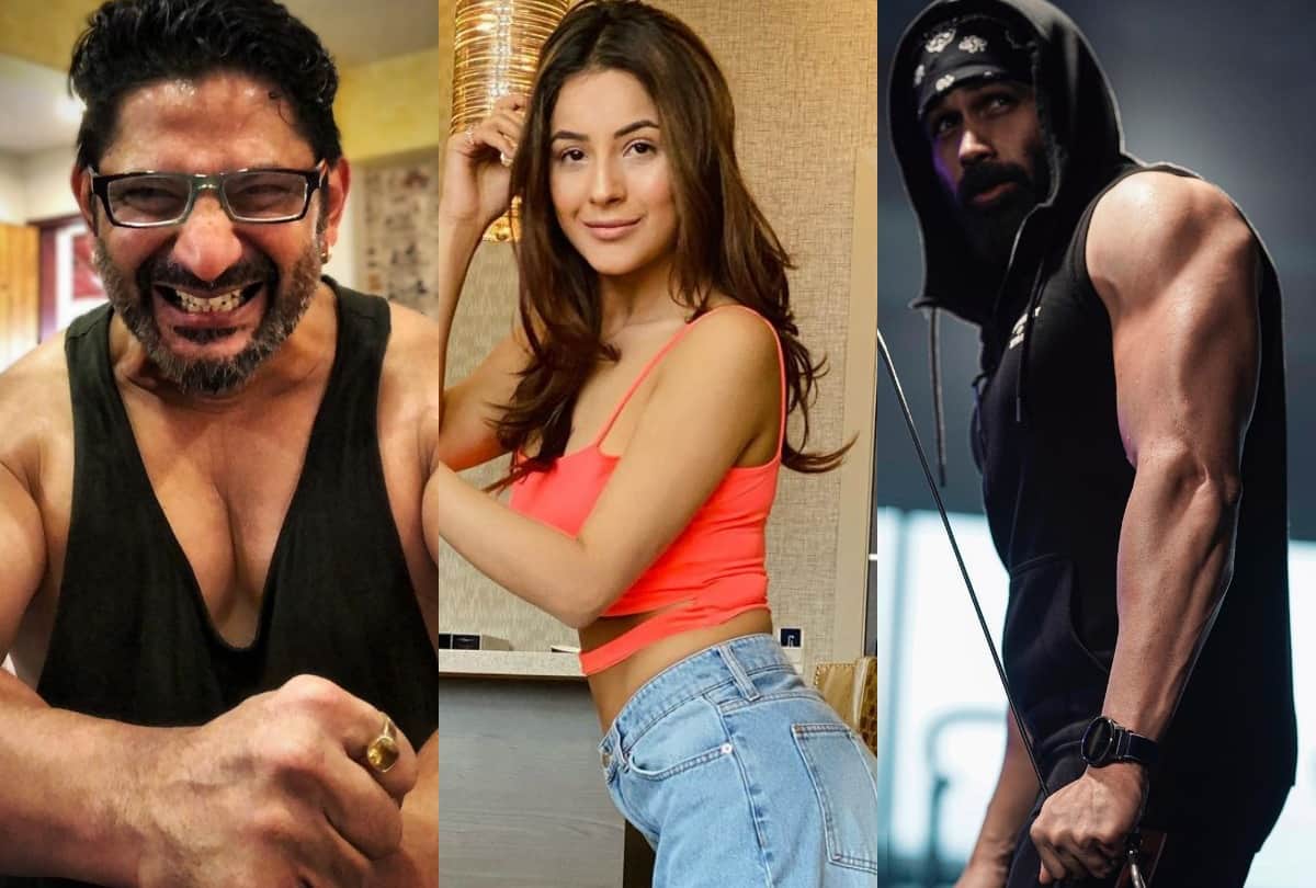 shehnaaz gill to arshad warsi these celebrities shock their fans from their fat to fit transformation