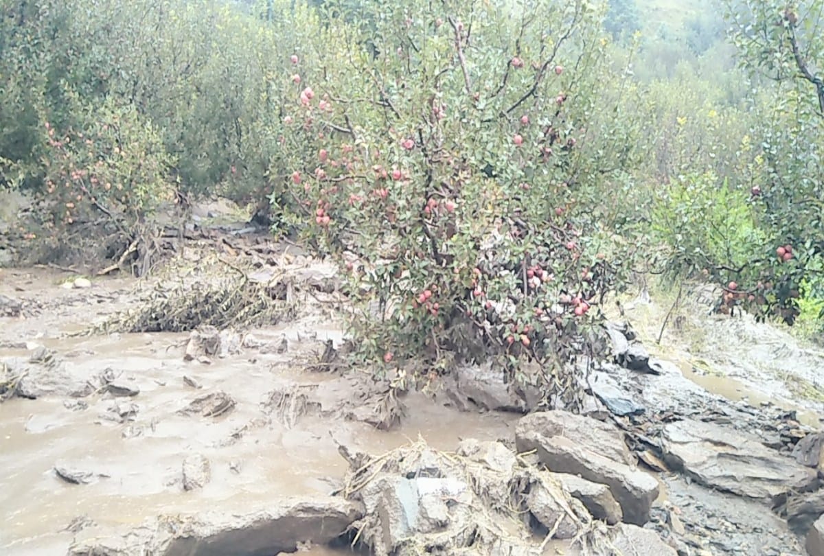 himachal weather update: Cloud burst in Sirmaur, damage to crops, heavy rainfall caused floods in Kullu