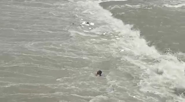 Diver Surendra struggled with life after getting trapped in the cyclone, Yamunanagar