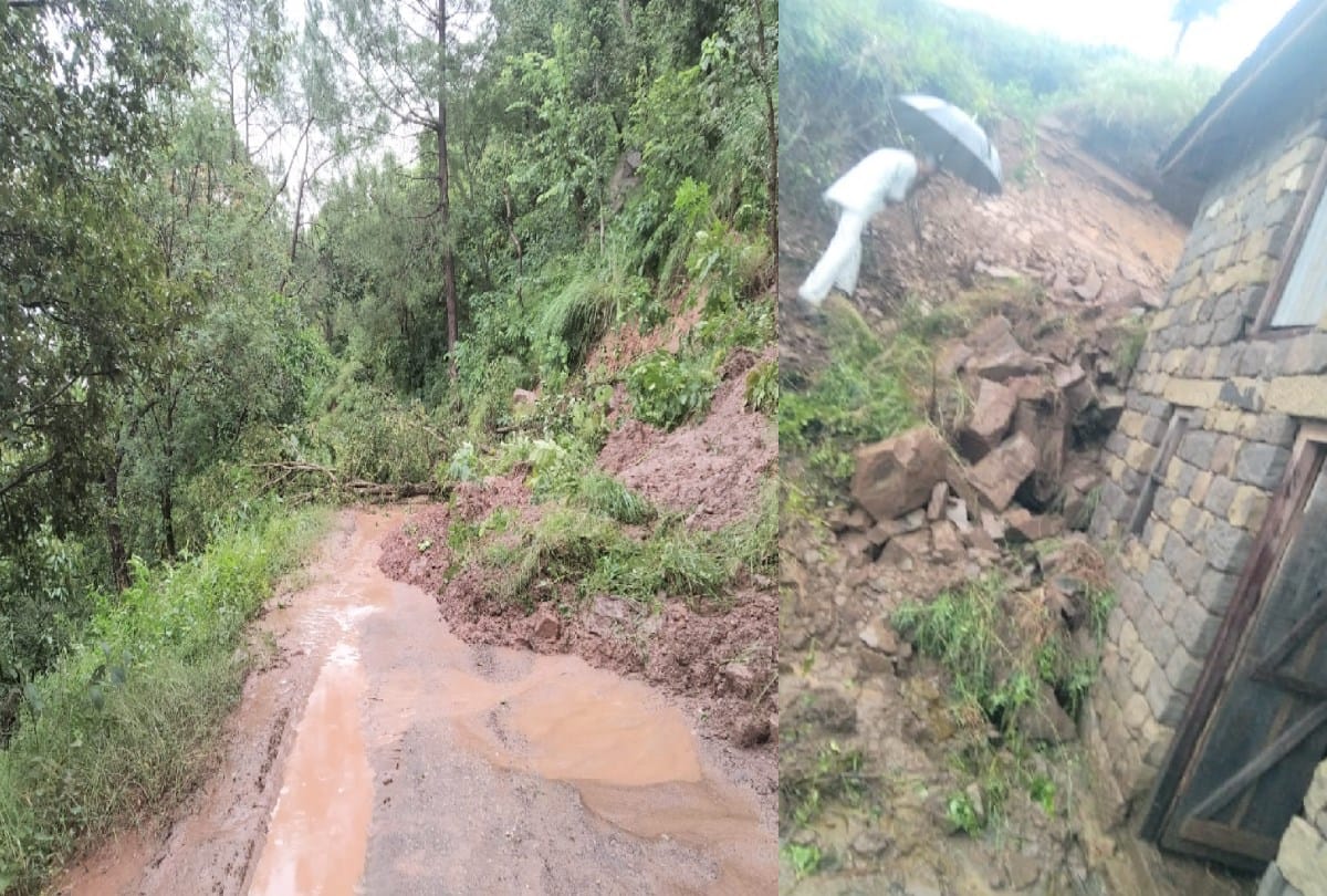 Tree fell on the vehicle of devotees returning after visiting Naina Devi in Bilaspur himachal, seven injured