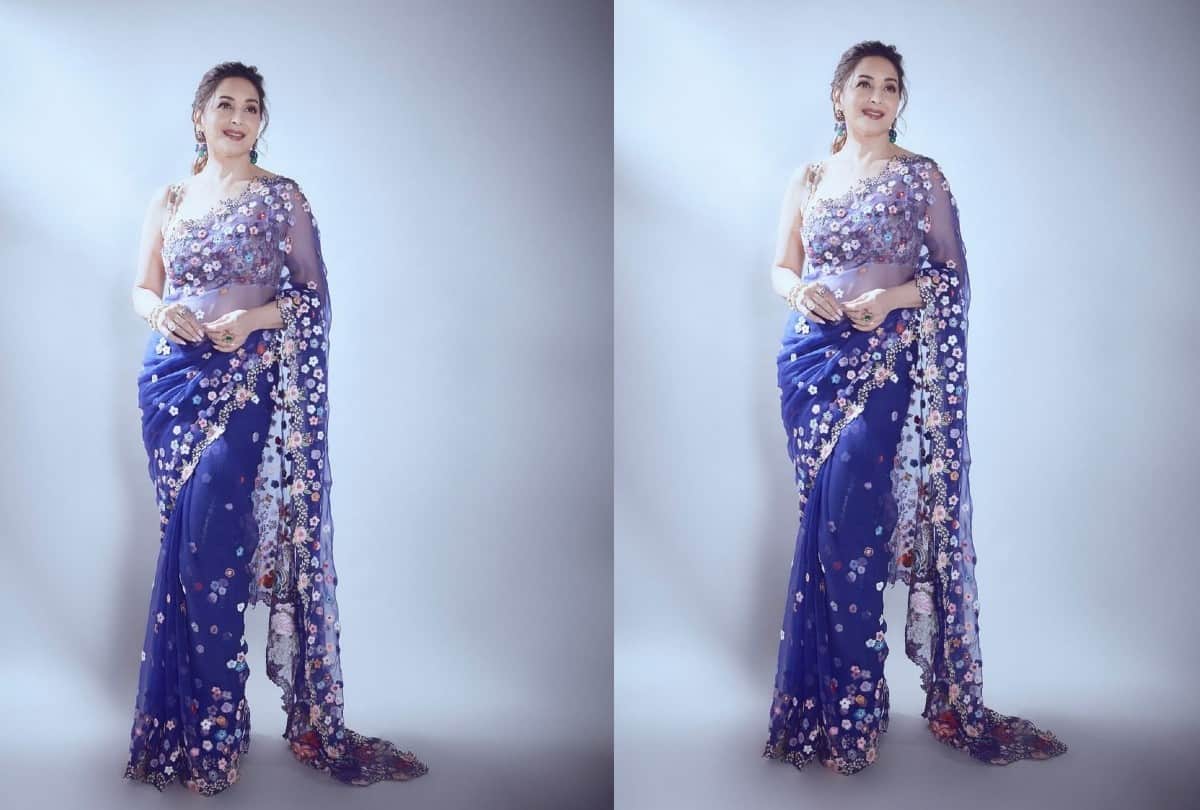 Madhuri Dixit Saree Collection Madhuri Dixit Traditional Look Photos
