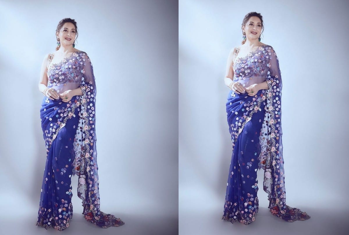 madhuri dixit blue Floral saree Photos and Cost