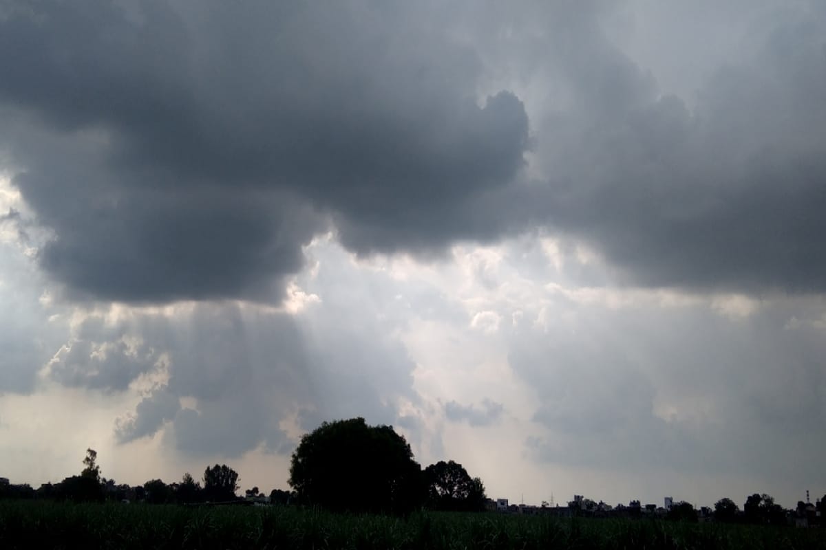 Weather Forecast Update: IMD Yellow Alert for UP Rajasthan and Guajart Heavy Rain Prediction for 3 Days