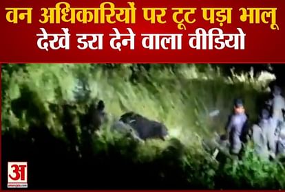 जोशीमठ में वन अधिकारियों पर टूट पड़ा भालू
