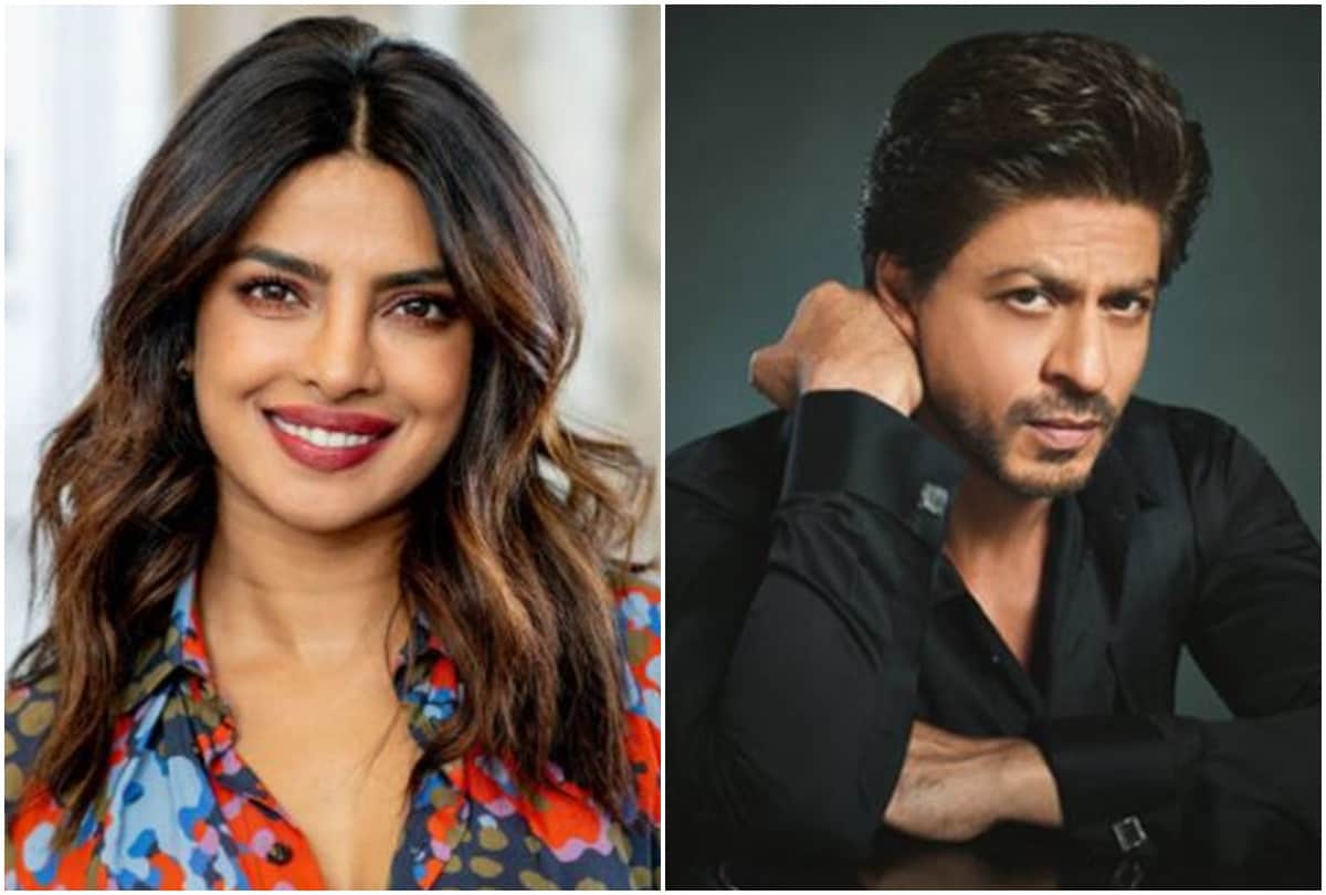 Will Priyanka chopra and Shahrukh Khan will see together in upcoming film know the full detail in hindi