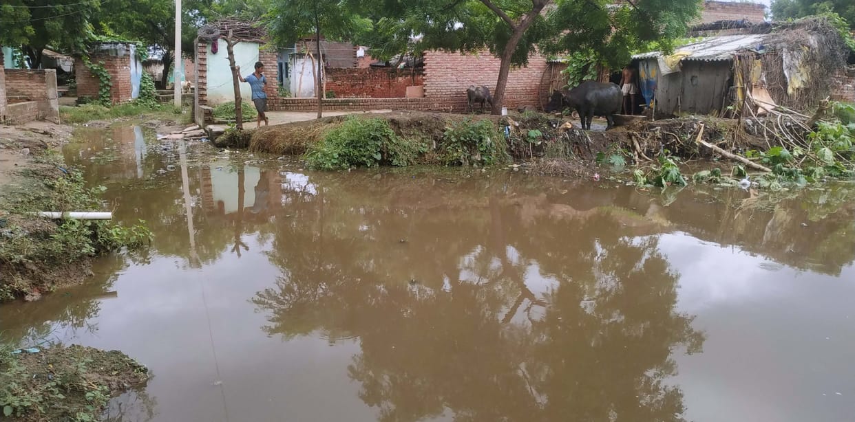 Due to rain, waterlogged pond in Dhaniyapura outside, till Dehri