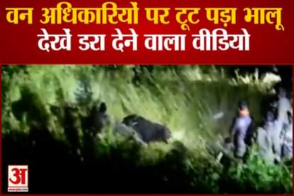 Forest officials shot dead a sloth bear after it attacked in Joshimath