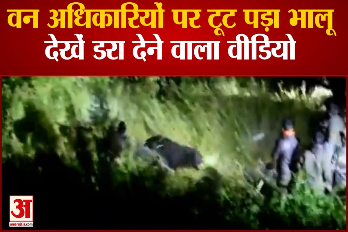 जोशीमठ में वन अधिकारियों पर टूट पड़ा भालू