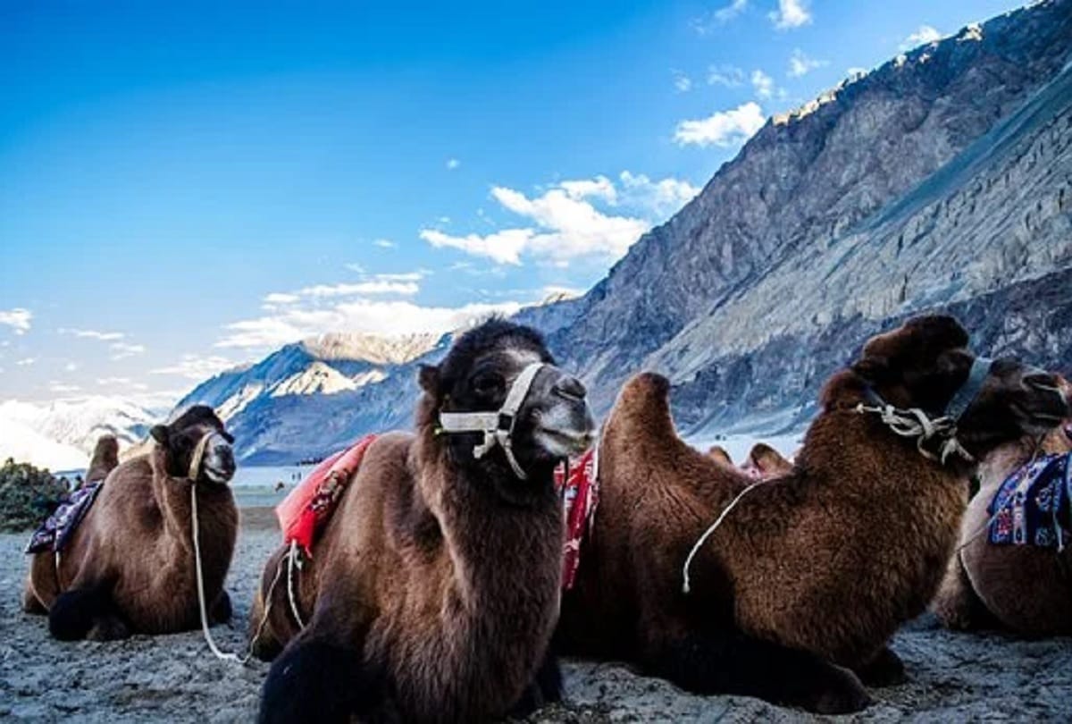 IRCTC tour package Laddakh Tour with Nubra and Pangong