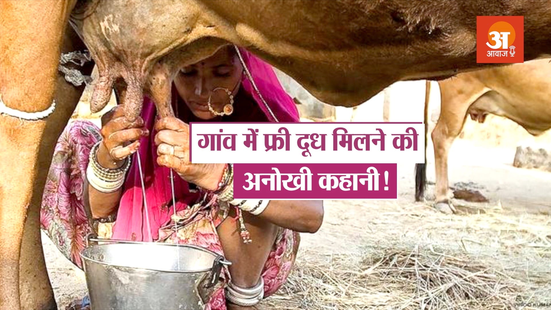 podcast dhokda villagers distribute free milk and milk products in kutch gujarat