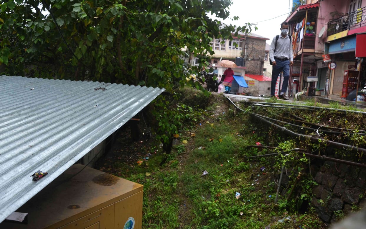 Herbal park to be built soon near Solan regional hospital