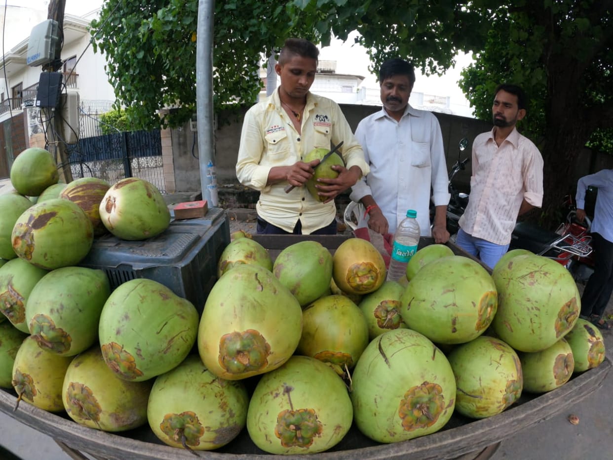 People of Agra are drinking coconut water worth Rs 5 lakh every day