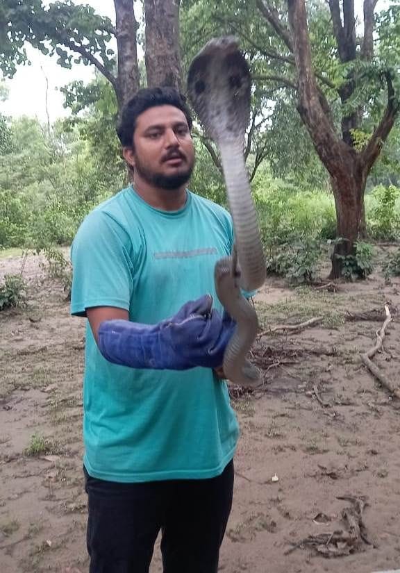 Captured Goira and Cobra and released them in the forest