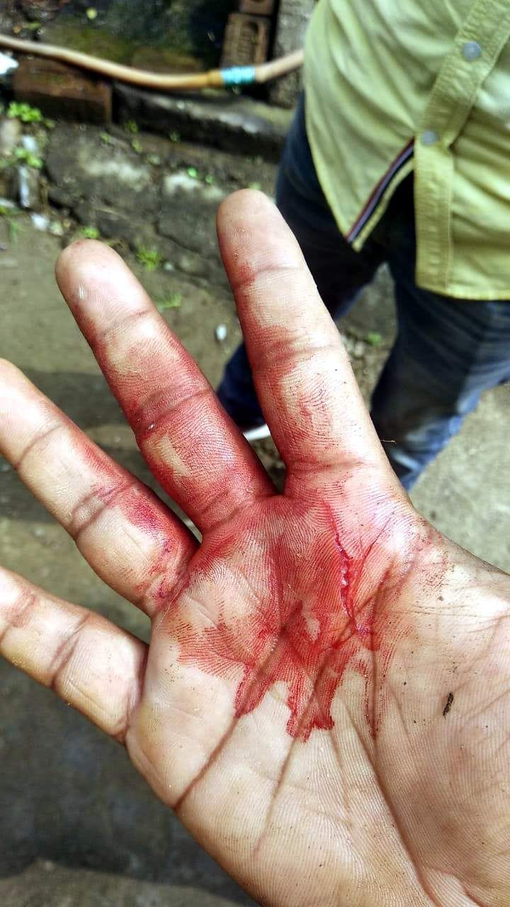 Guldar's cub imprisoned in cage, forest worker injured