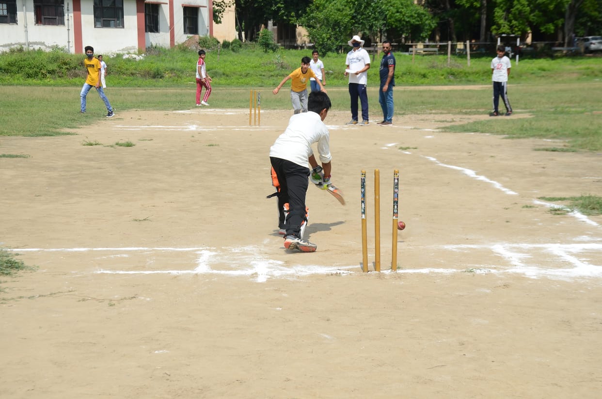 cricket